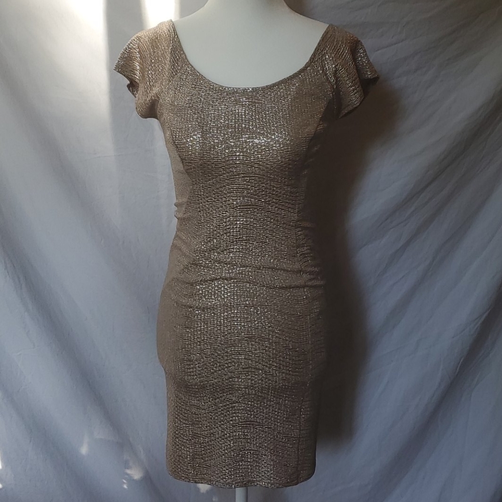 GUESS Fitted Champagne Shimmer Dress